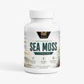 Sea Moss